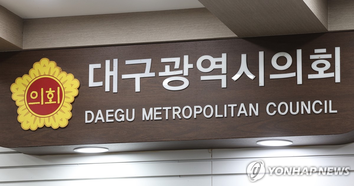 '대구경북신공항 SPC 참여 기업 지원 조례' 시의회 상임위 통과