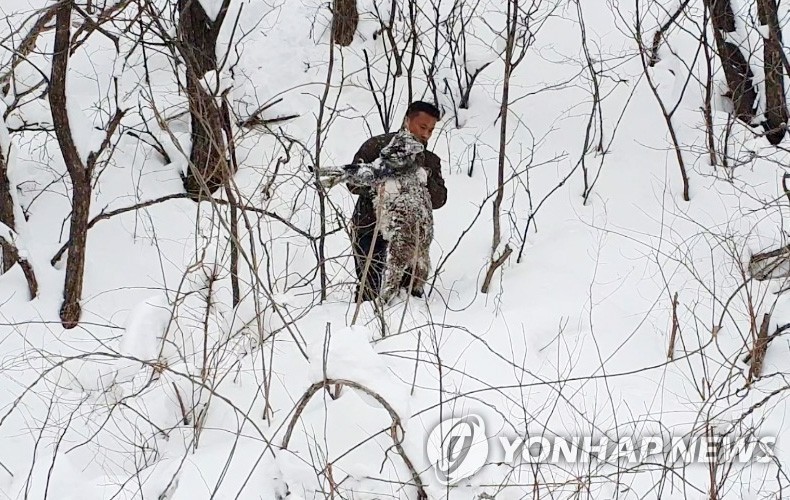 "올겨울 폭설, 산양에게는 재앙 수준…사람이 도와줘야죠"