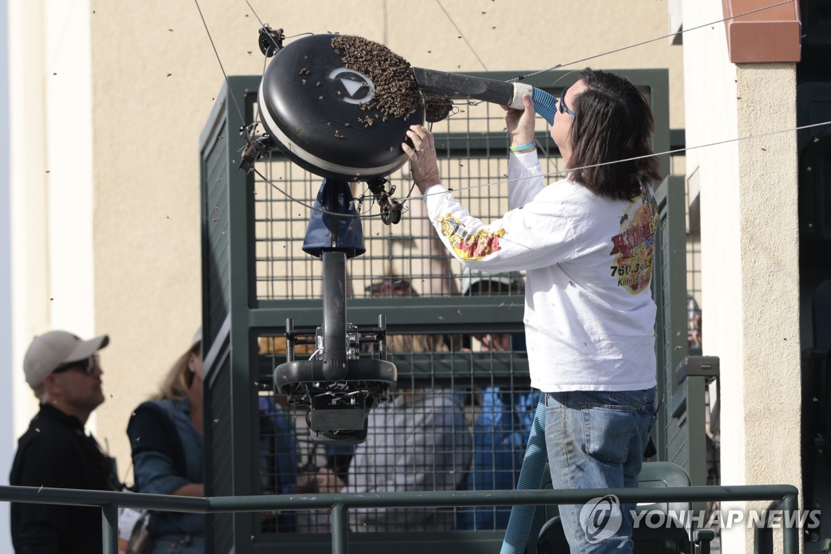 알카라스 vs 신네르, BNP 파리바오픈 테니스 4강서 격돌