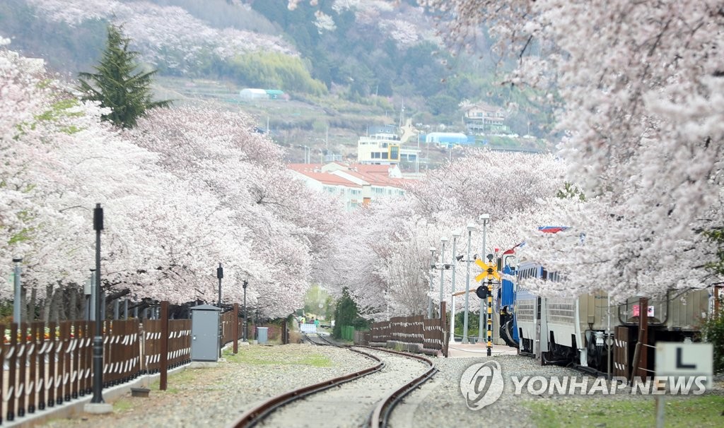 마라도함·일출봉함 타보자…진해군항제 때 함정 견학한다