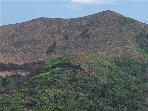 "군청 몰래 깠다"…축구장 10배 '무허가 산지훼손' 일당 징역형