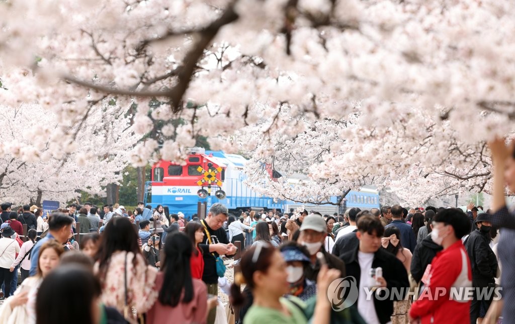 연분홍 벚꽃 일렁이는 진해…제62회 군항제 막 올랐다