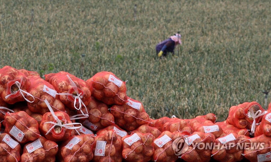 "양파껍질 버리지 마세요"…면역력↑·스트레스↓ 효과