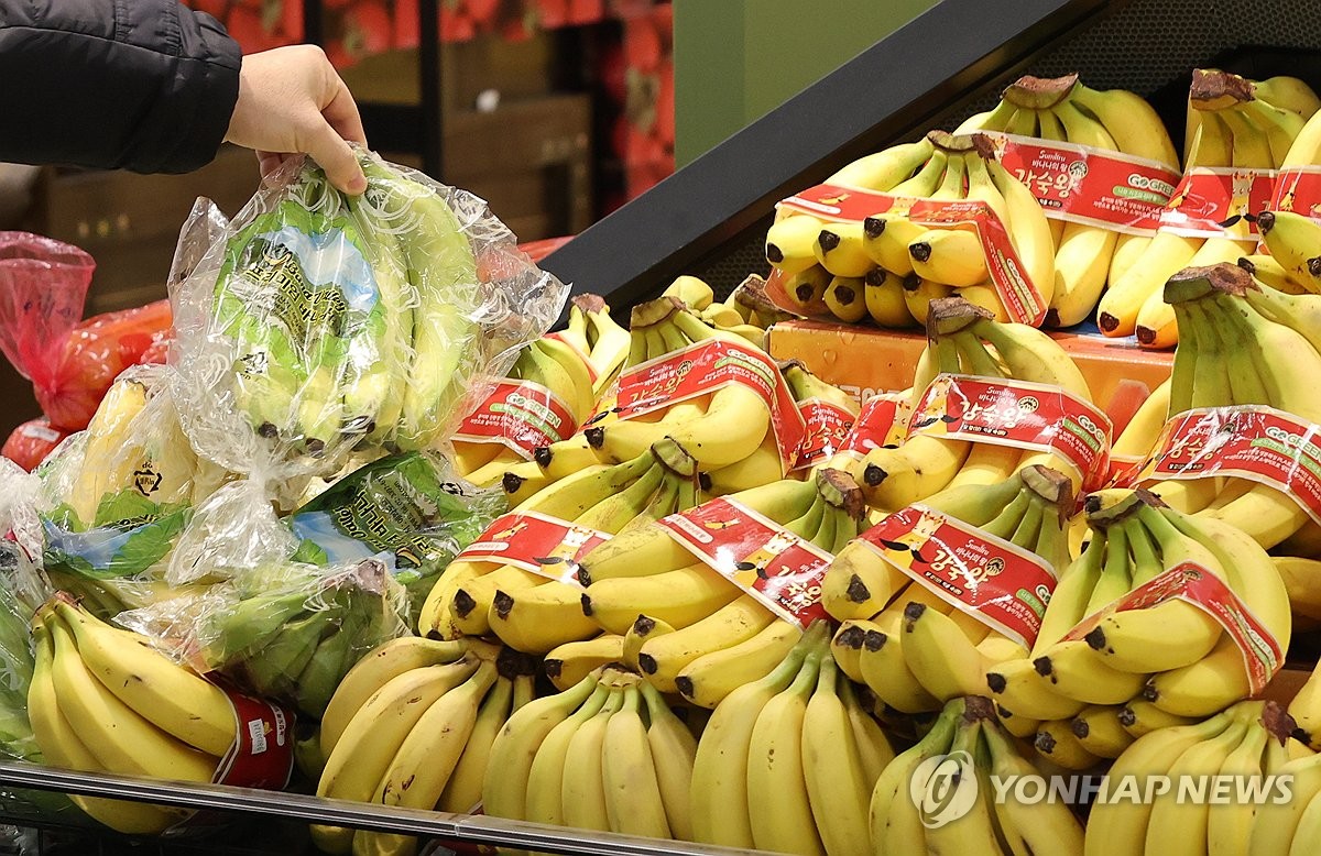 바나나·오렌지 1천800t 직수입…농산물 할인상품권 600억원