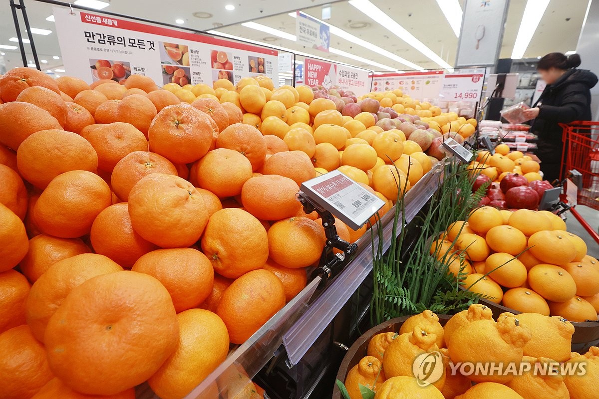 2월 물가 3.1%, 한달 만에 3%대 복귀…과일지수 41% 폭등(종합)