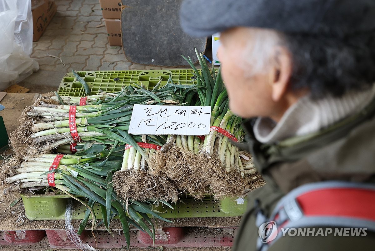 파 50%·배추 21%↑…과일뿐 아니라 채소 값도 기승