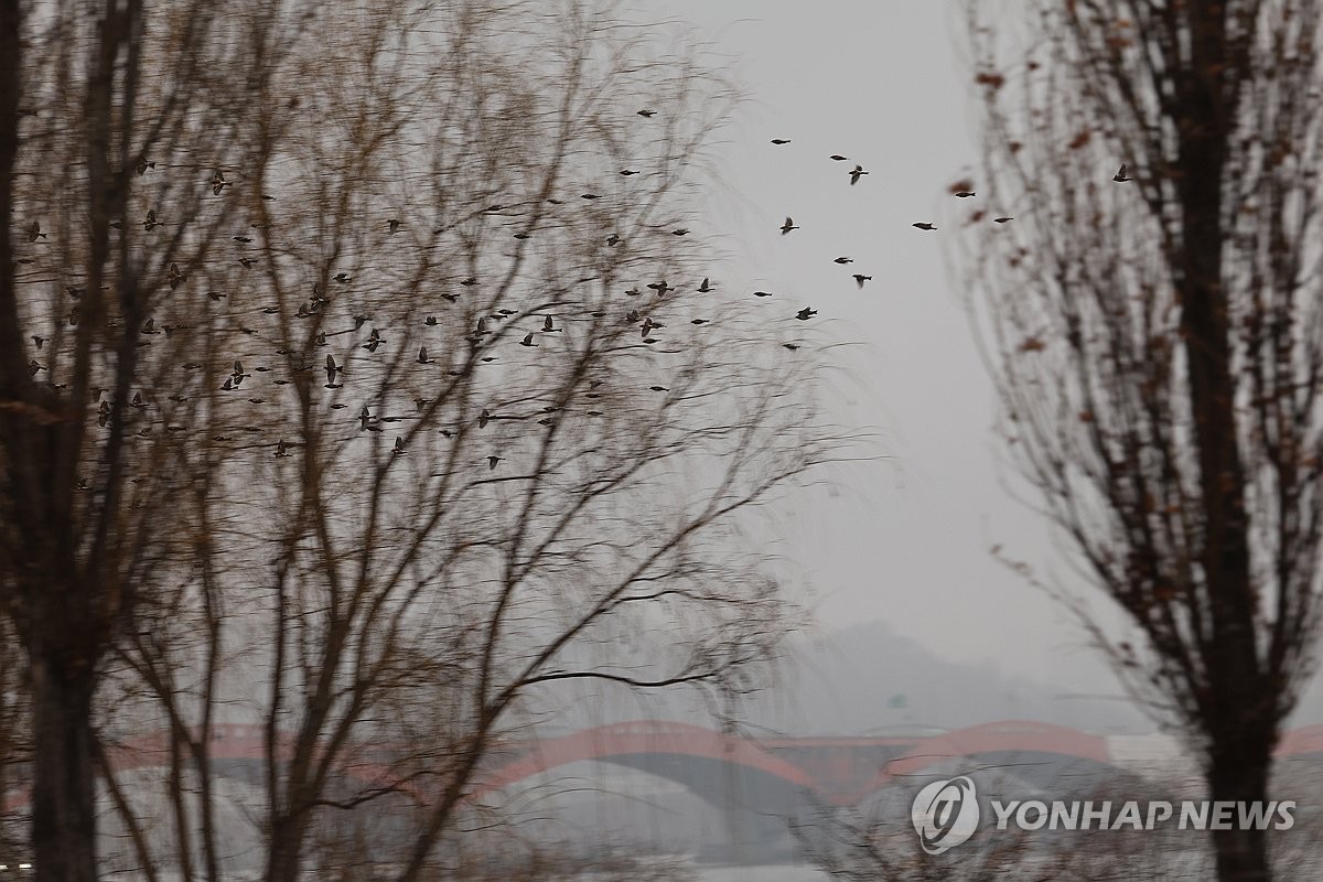 [내일날씨] 전국 흐리고 비·눈…천둥·번개 동반한 돌풍 조심하세요