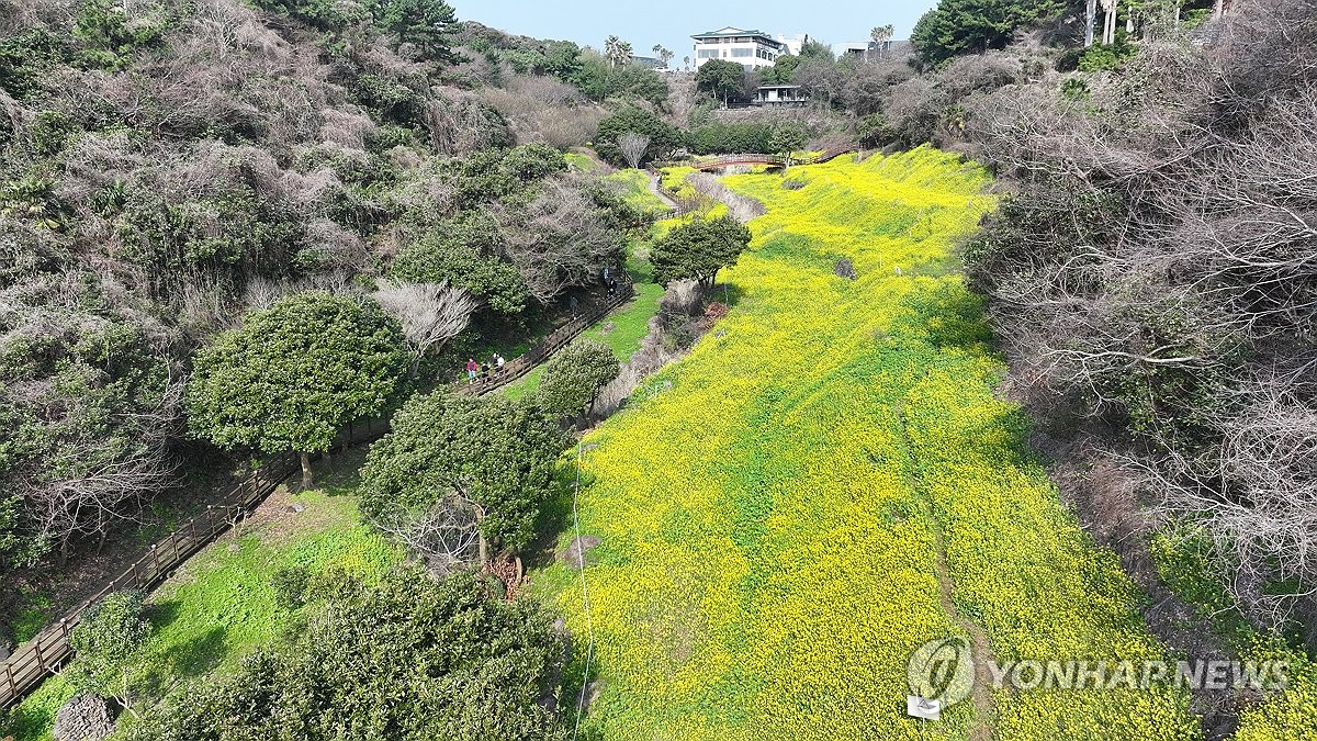 이번 주말 맑지만 토요일 '쌀쌀'…이후 봄기운 완연