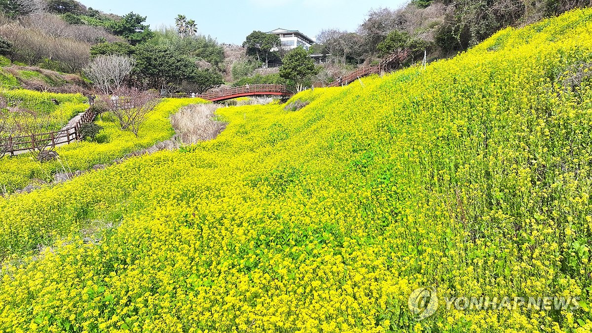 경칩날 전국에 봄비…강원산지 등 높은 산지엔 눈