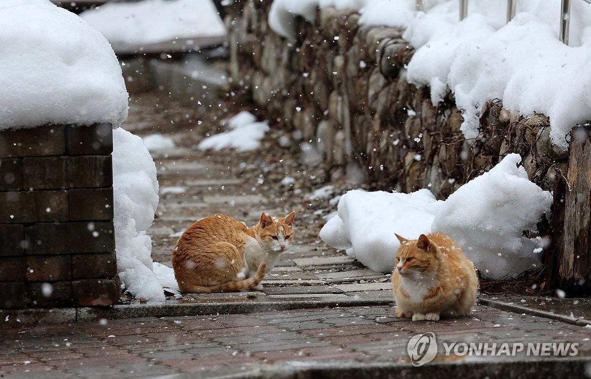 지난 겨울 대설·한파 재산피해 126억원…전년보다 25% 줄어