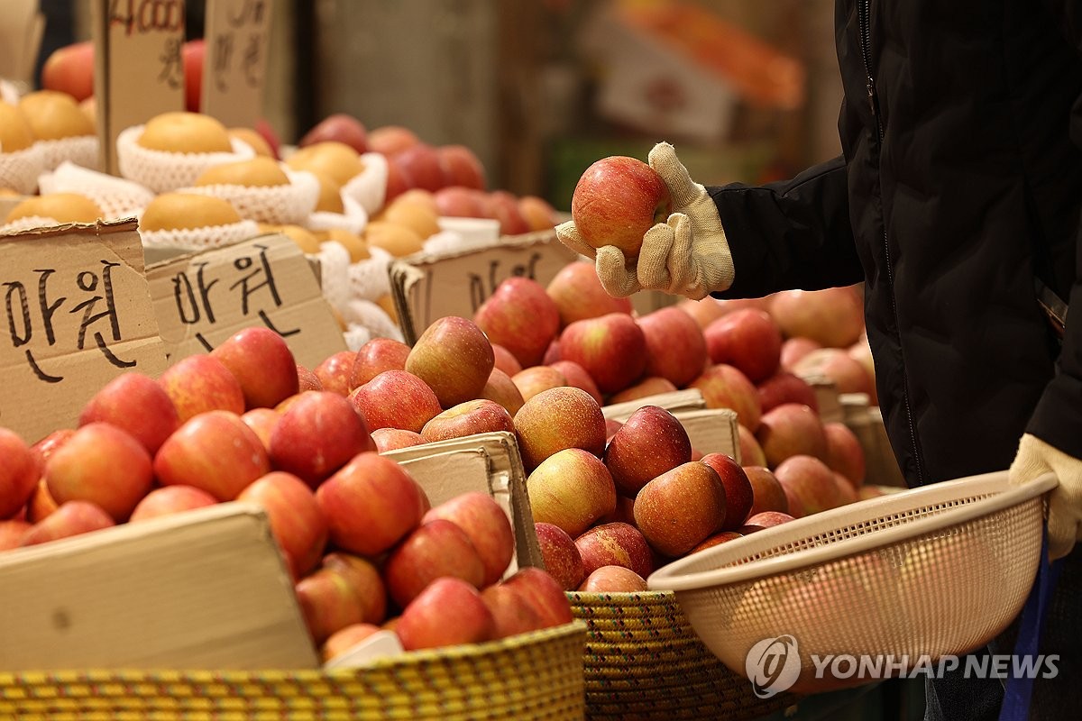 기재차관, 가락시장 방문…"유통비용 절감으로 물가안정" 당부