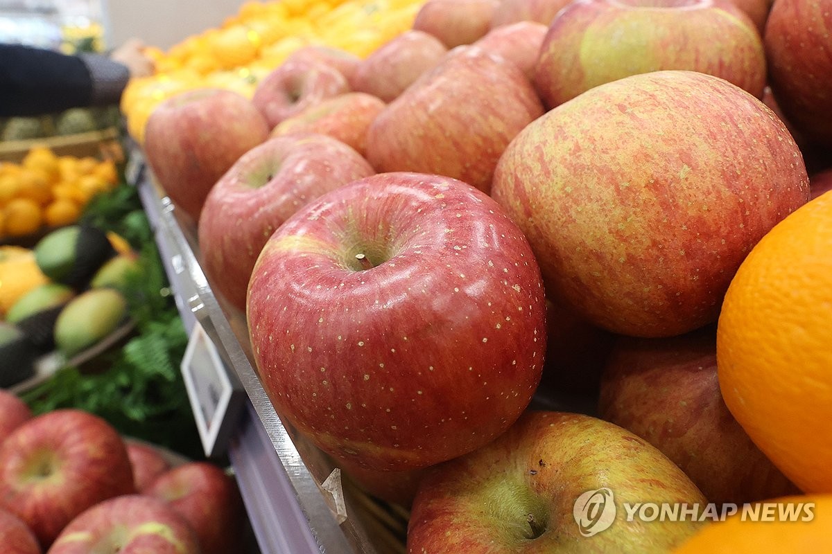 정부 역대 최대 사과값 지원 효과 있을까…"수요 분산해야"