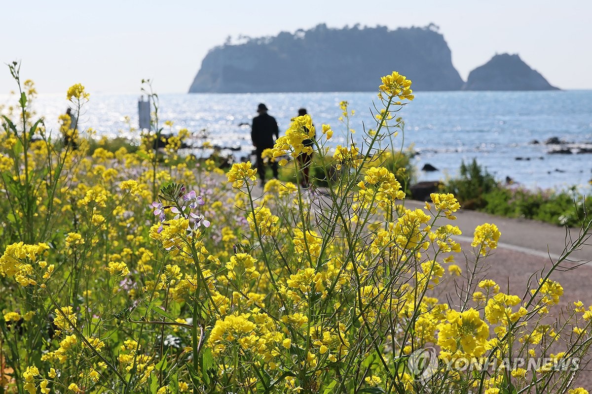 제주 맑고 일교차 커…낮 최고 16∼17도