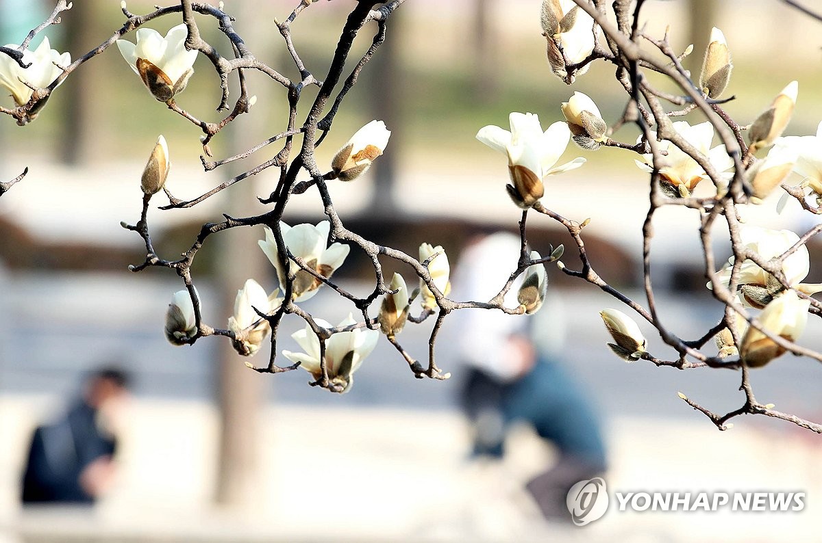 오후부터 흐려지고 제주 등에 비 조금…서쪽에 짙은 아침안개