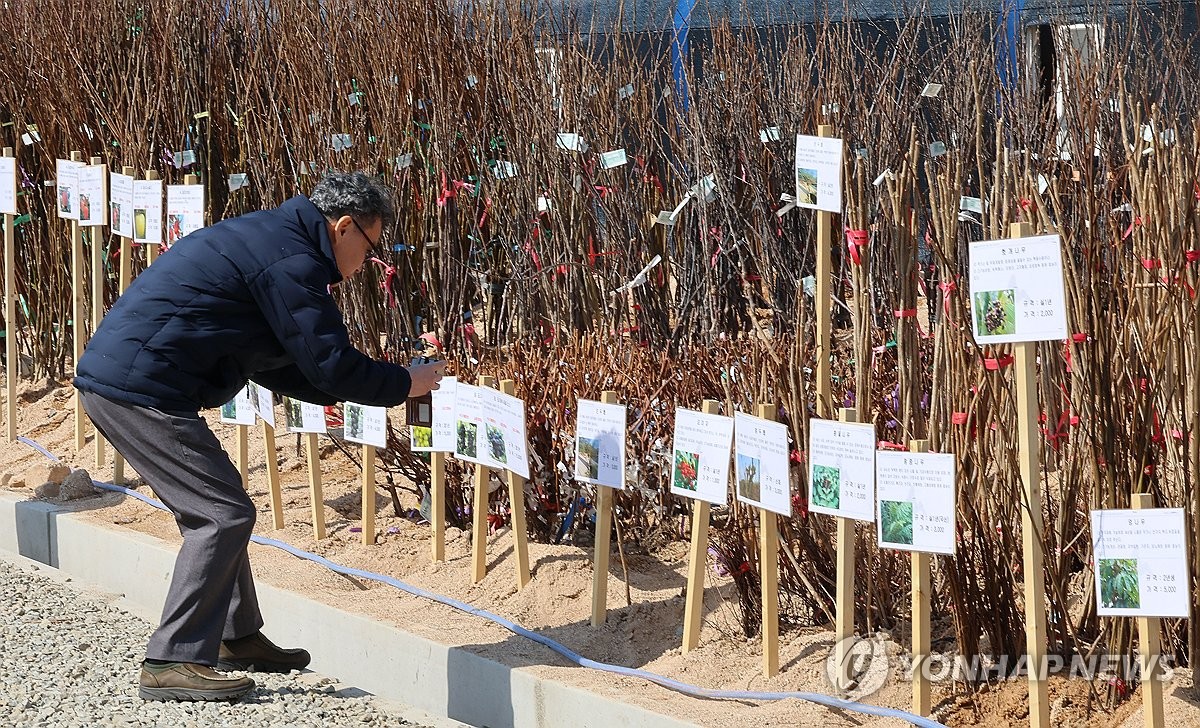 '춘분' 하루 앞둔 화요일 전국에 봄비…강원산지에 많은 눈