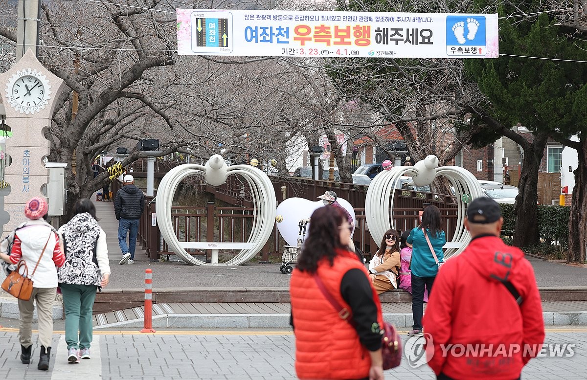 [사진톡톡] 앙상했던 나무에 꽃이…경남에 시나브로 찾아온 봄