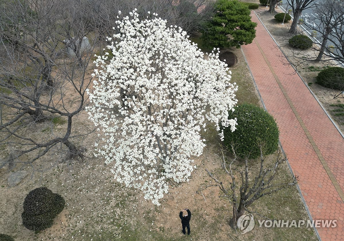 [날씨] 전국 비·눈 오는 '춘분'…낮 최고 6∼13도