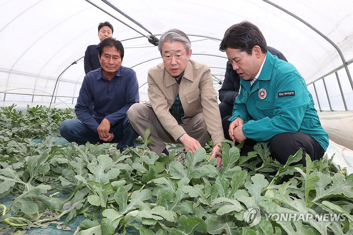농협중앙회장, 일조량 부족 피해 수박·딸기 농가 점검
