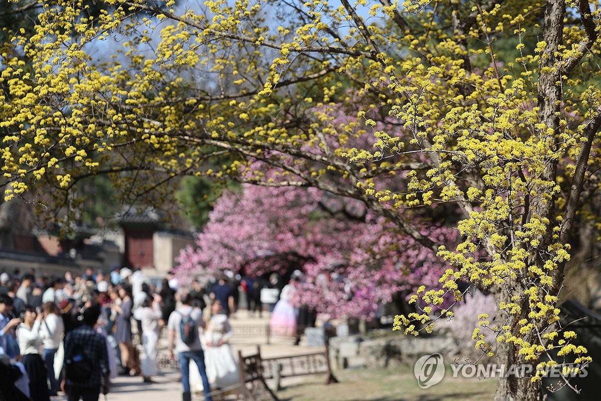 '5월 중순' 방불케 한 24일…3월 최고기온 기록 경신한 곳도