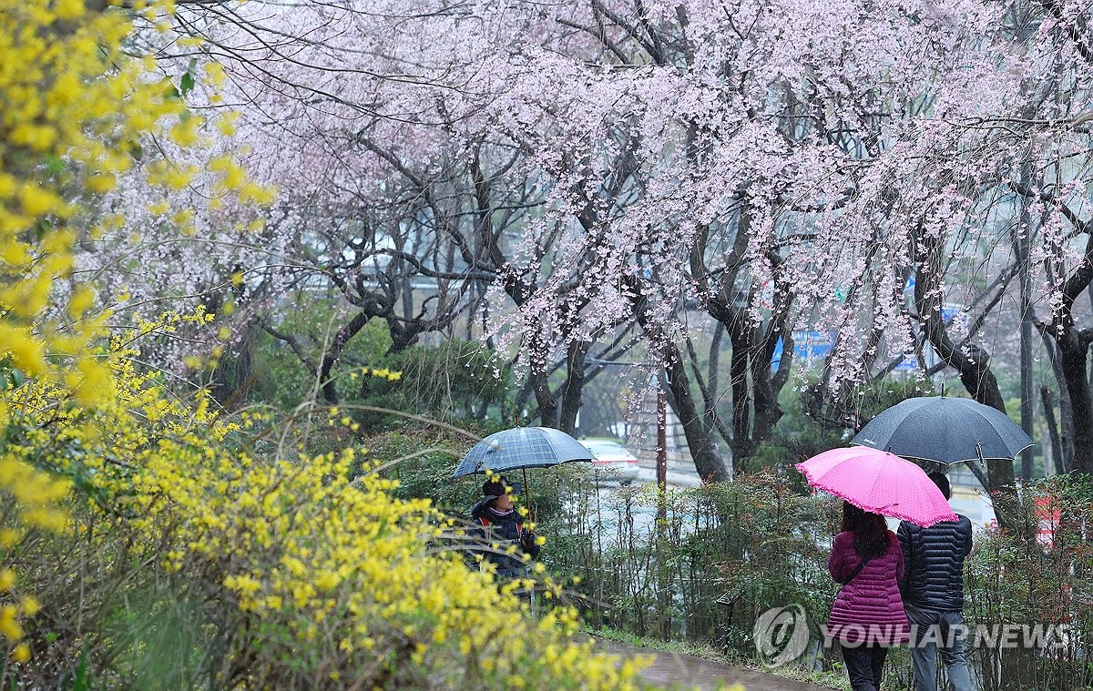 부산·울산·경남 낮까지 비…최고기온 14∼17도