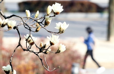 [내일 날씨] 전국 맑다 흐려져…낮 최고기온 20도