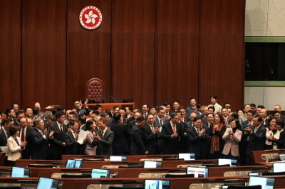 "반역죄 최고 종신형"…'홍콩판 국가보안법' 만장일치 통과