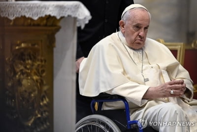 교황 맹비난 글 올린 익명 추기경은 누구…교계 '술렁'