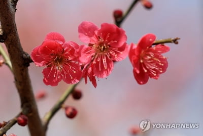 전국에 드문드문 비…흐리고 바람도 제법 불어 '쌀쌀'