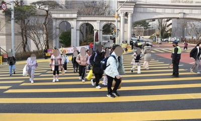 "아이들 안전을 위해" 부산에 폭 35ｍ짜리 대형 횡단보도 등장