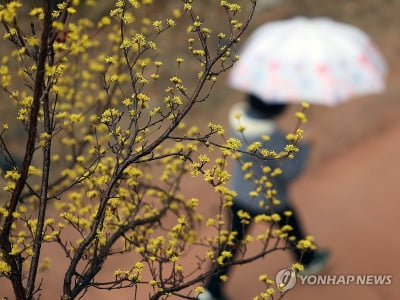 향후 석달 강수량 평년 이상 수준 예상…가뭄 걱정 없을 듯