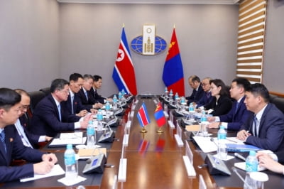 몽골에 외교대표단 보낸 北…"농업·보건·인도주의 협력 논의"(종합)