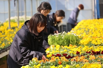 토요일 오전까지 맑고 포근…이후 제주·남부 비 조금