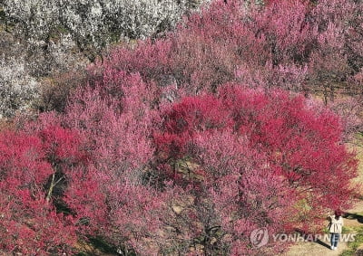 금요일 중부·충청 미세먼지 '나쁨'…동해안 낮 22도까지