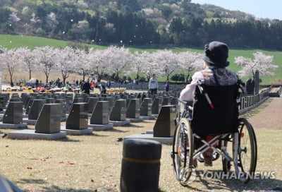 제주4·3 추념식 맞춰 제주 전역에 1분간 묵념 사이렌