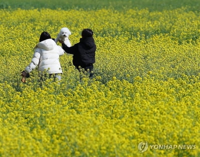 부산·울산·경남 낮 최고 14∼16도…밤부터 비