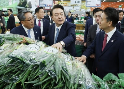 대통령실, 대파값에 "지난 정부서 최고가…외부요인에 변동 커"