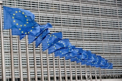 EU, 6월 선거 앞두고 빅테크에 "허위정보 방지 노력 강화해야"