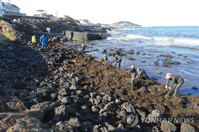 제주바다 불청객 괭생이모자반 또 유입되나…먼바다 관측