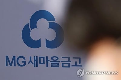 새마을금고 "양문석 '편법대출' 의혹 검사…위법시 회수"(종합)