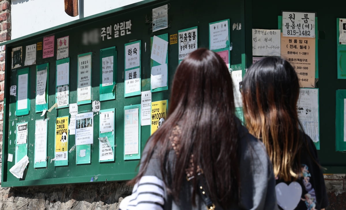 서울의 한 대학가 알림판에 하숙 및 원룸 공고가 붙어 있다. 사진=뉴스1