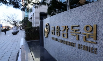 금감원, 양문석 '편법 대출' 검사하는 새마을금고에 검사역 파견 제안