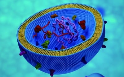 [연구실에서 찾은 차세대 신약] 우리 몸속의 택배 상자, 엑소좀을 이용한 약물전달기술