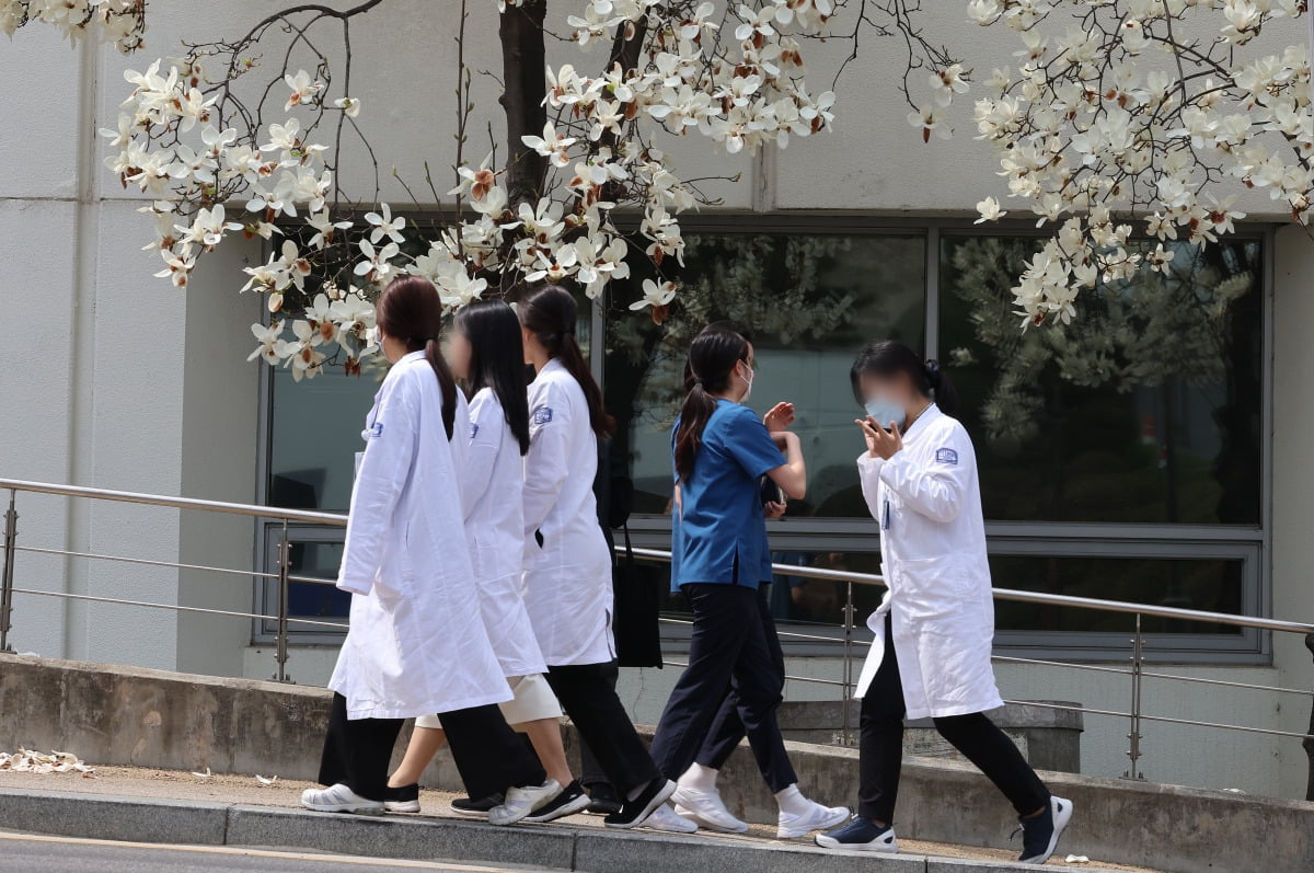  박단 대한전공의협의회 비상대책위원장이 내부 공지를 통해 