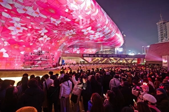2023년 말 새해 카운트다운을 앞둔 DDP에 펼쳐진 꽃무늬 콘셉트의 '서울라이트'. /서울디자인재단 제공