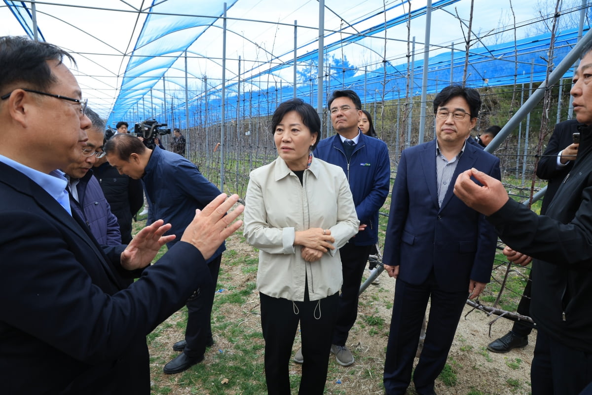 송미령 농림축산식품부 카지노 한국인이 지난 3일 강원도 춘천시의 스마트 과수원 실증단지를 방문해 관계자로부터 설명을 듣고 있다. / 농식품부 제공