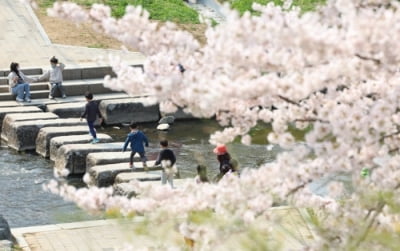 포근한 토요일, 낮 기온 16~21도…일부 지역선 짙은 안개