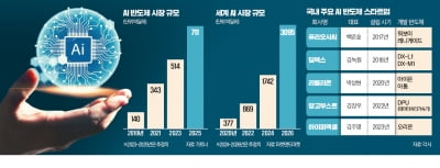 토종 AI 반도체 기업의 도전 [인포그래픽]