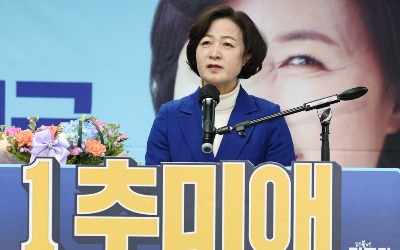 민주당 1당 되면 국회의장은 추미애?…"'이재명 거수기' 될라"