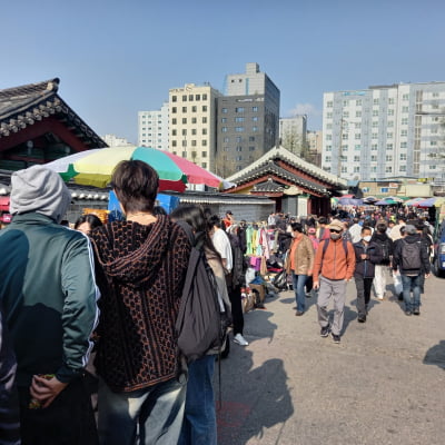 창신동 '낭만낙지' 식당 배수구에 써있다 '박수근 사시던 집'