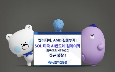 엔비디아·AMD 집중투자…'SOL 미국 AI반도체 칩메이커 ETF' 상장